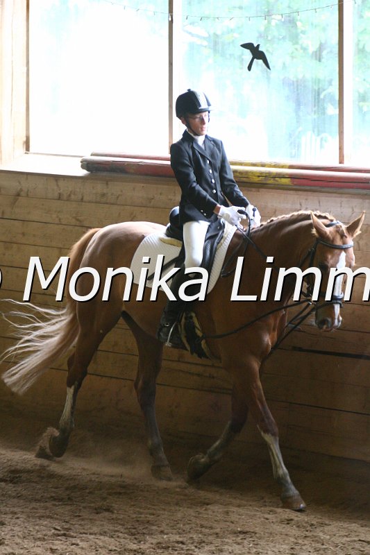 007L8595_Dress reiter WB.JPG